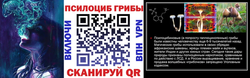 Псилоцибиновые грибы Psilocybe Октябрьск